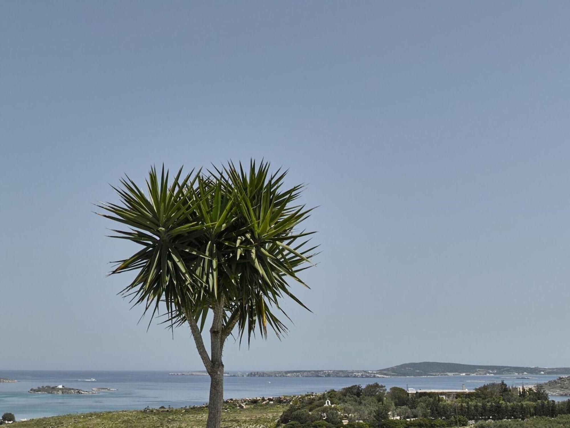 Maria Seaview Villa Near Naousa Buitenkant foto